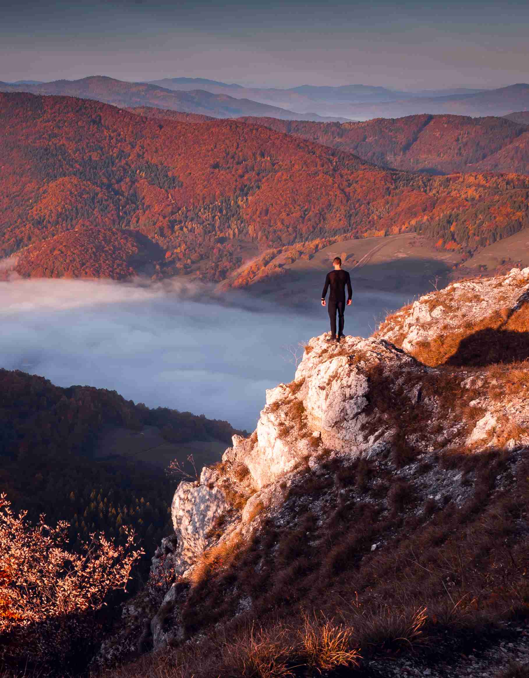 A man stands on a rock surrounded by mountains with brown threes