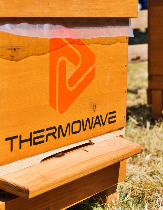 beehive with the Thermowave logo