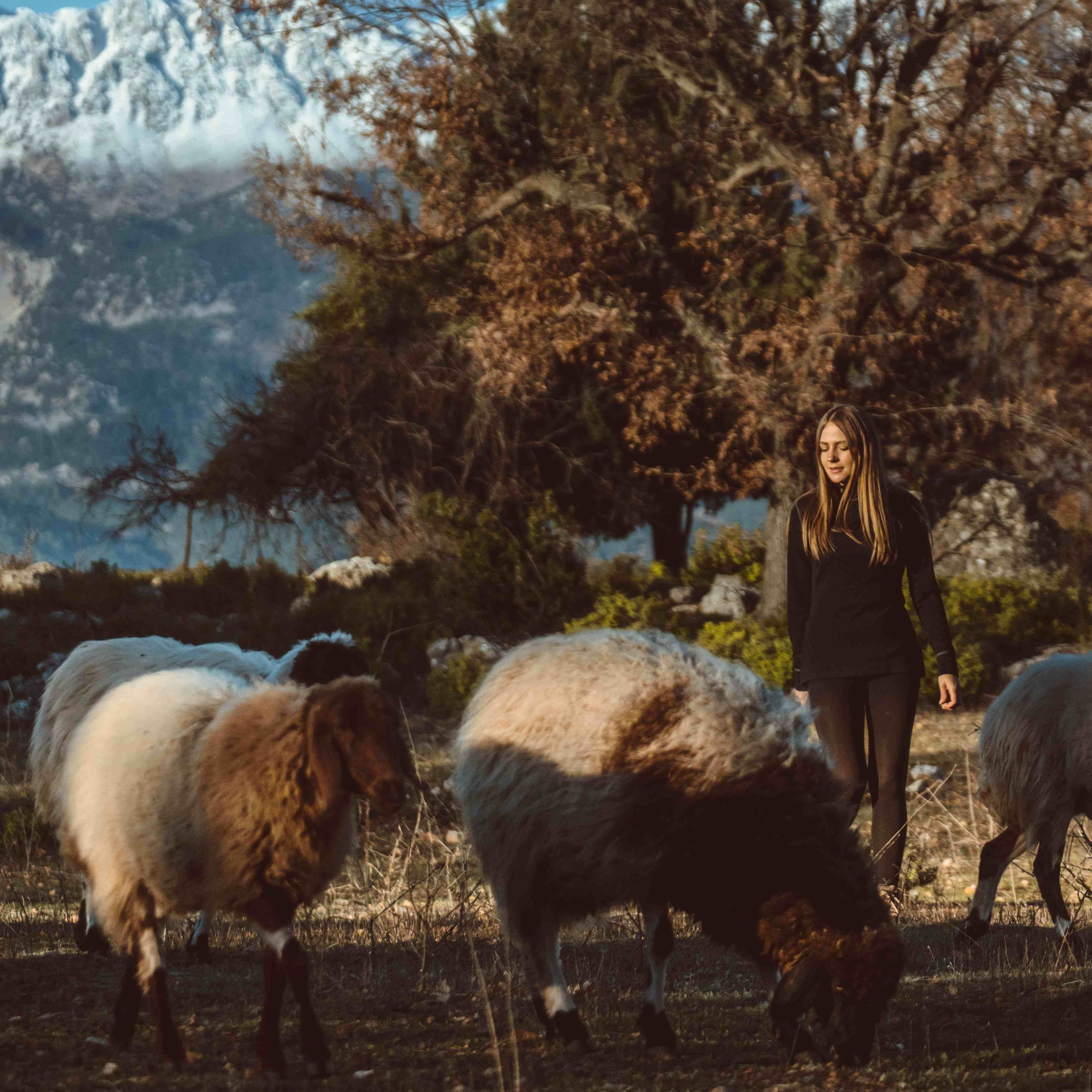 woman-walks-with-sheeps-in-the-fields